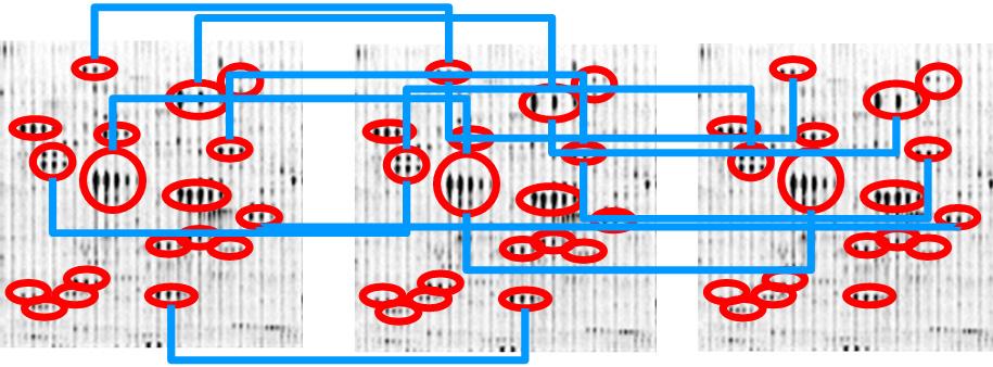 D:\Proline_Data\Documentation\1.3\ProlineSuite_V1.3_MERGED_ODF\lcms_feature_mapping.jpeg