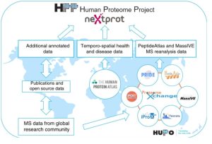 The Human Proteome Project reports 90% completion of the human proteome