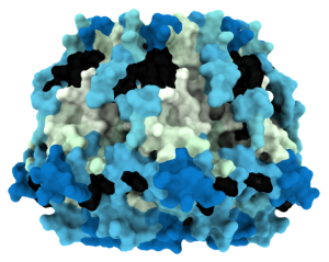 Inserm Workshop 262: Mass Spectrometry for Structural Biology (update)