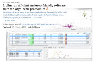 Proline: an efficient and user-friendly software suite for large-scale proteomics