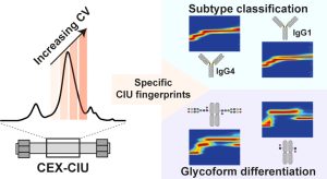 Online CIU of therapeutic mAB Glyco-Variants through Direct Hyphenation of CEX with Native Ion Mobility–MS